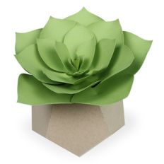 succulent planter