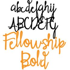 pn fellowship bold