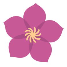 tropical flower
