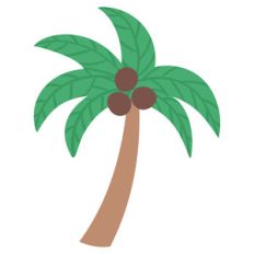 palm tree