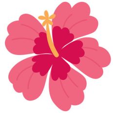 hibiscus flower