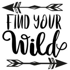 find your wild