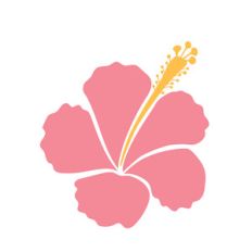 hawaii flower