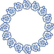 hibiscus flowers circle frame