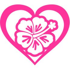 hibiscus flower love