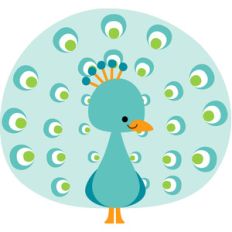 peacock - at the zoo