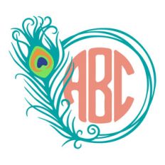 peacock feather monogram frame