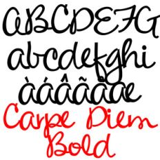 zp carpe diem bold