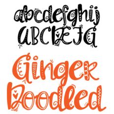 zp ginger doodled