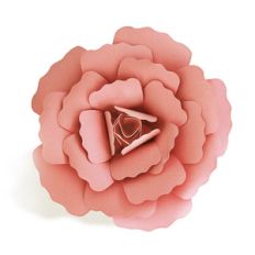 3d giant flower w petals