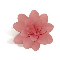 3d large flower w petals