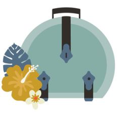 wayfarer blue suitcase