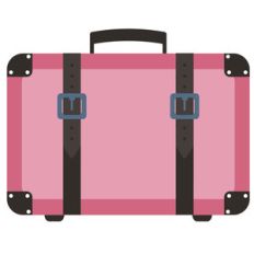 wayfarer pink suitcase