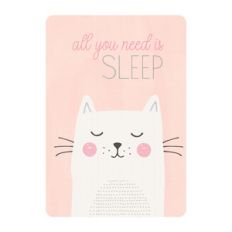 sleep kitty