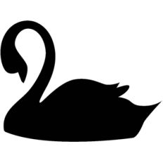 swan