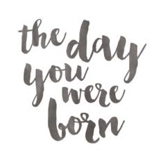 the day you were born