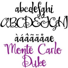 pn monte carlo duke