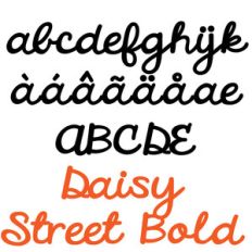 zp daisy street bold