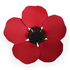 poppy