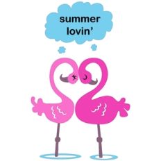 flamingos summer lovin