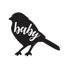 baby bird
