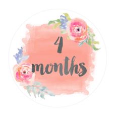 4 month old baby onesie sticker