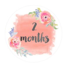 2 month onesie sticker