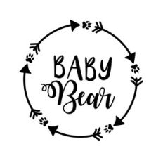 baby bear arrows