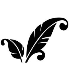 feathers