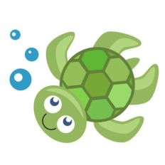 sea turtle