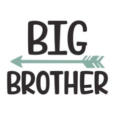 big brother