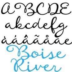 zp boise river