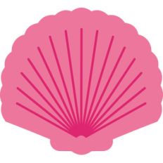 seashell