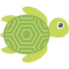 sea turtle
