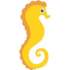 seahorse