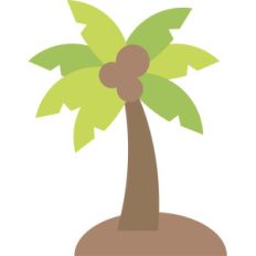 palm tree and coconuts