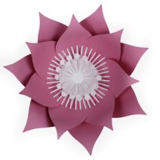 small pointed flower