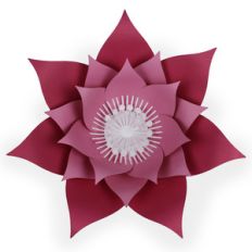 large pointed flower