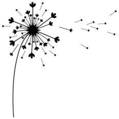 dandelion
