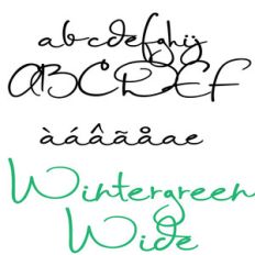 pn wintergreen wide