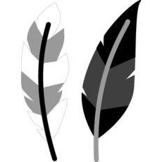 feathers - hats off!