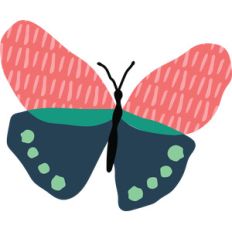 butterfly