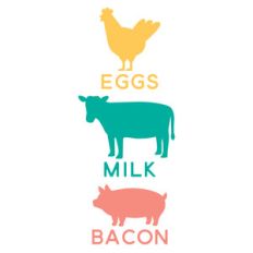 eggs milk bacon