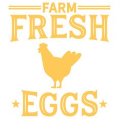farm fresh eggs