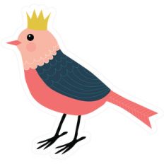 bird
