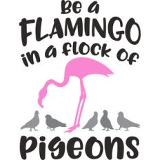 be a flamingo in a flock of pigeons