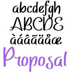 pn proposal