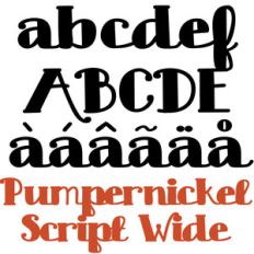 pn pumpernickel script wide