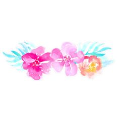 tropical flower border