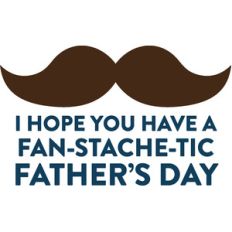 fan'stache"tic